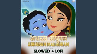 Adharam Madhuram Slowed Lofi [upl. by Aelat]