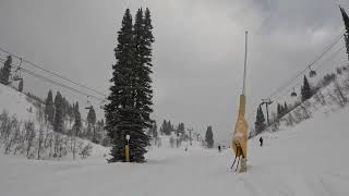 Snowbasin Ski Resort The Powder hound Bowl [upl. by Adelpho]