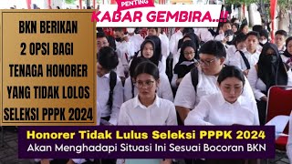 INFO TERBARU  BKN BERIKAN 2 OPSI BAGI TENAGA HONORER YANG TIDAK LOLOS SELEKSI PPPK 2024SIMAK [upl. by Damian]