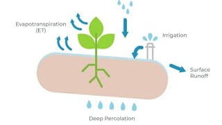 EVAPOTRANSPIRATION  Causes  Advantages  Disadvantages  issue SDG ClimateChange GlobalWarming [upl. by Nelie]