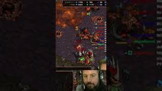 ZvT Lategame battle of survival  falconpaladin on Twitch and YouTube [upl. by Janean]