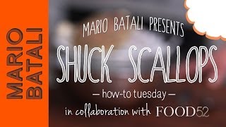 How to Shuck Scallops [upl. by Innad577]