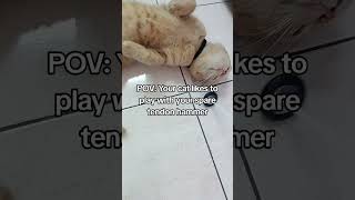 Cat vs tendon hammer ✨ cat cute [upl. by Orsa491]