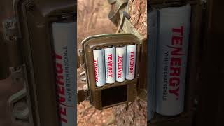 Tenergy 2500mah rechargeable aa battery 2 year review [upl. by Slocum]