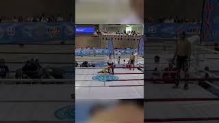 UKRAINE v BULGARIA Kickboxing KO [upl. by Rania]