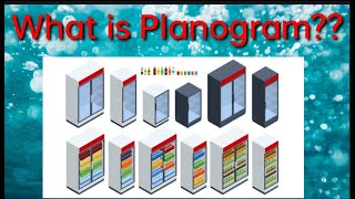 What is Planogram  An Introduction to Visual Merchandising [upl. by Maximo]