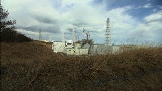 Fukushima un an après la contamination se poursuit [upl. by Lladnek]