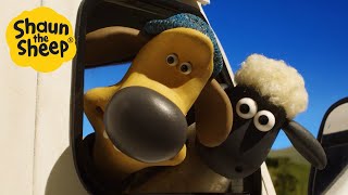 Shaun the Sheep🐑 Cant Teach a Sheep to drive  Cartoons for Kids 🐑 Full Compilation 1 hour [upl. by Lexerd155]