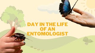 Day in the Life of an Entomologist [upl. by Afrika596]