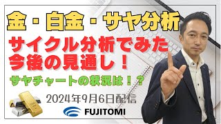 【金相場・白金相場・サヤ取り分析】ゴールドは堅調！プラチナは反転上昇！ サヤチャートの状況は！？＜タイムサイクル分析でみた見通しと戦略＞ 20240906配信 [upl. by Esertak]