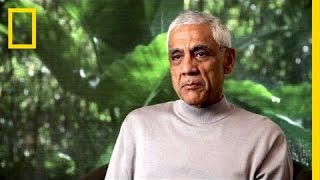 Investor Vinod Khosla Bets on Wood Chip Biofuels  National Geographic [upl. by Bilac977]