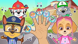 FINGER FAMILY SONG🎵 The dog patrol family back to school [upl. by Nawoj]