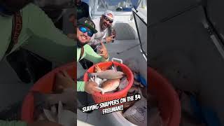 Loading up on snapper charterfishing charter charterboatfishing [upl. by Manton847]