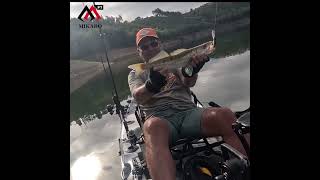 ZANDER  Trolling fishing fishingmethod mikadofishing mikadofishingteam [upl. by Noteloc]