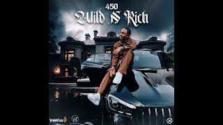 450  Wild N Rich Official Audio [upl. by Yelnikcm]