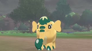 Live Shiny Cufant after 3618 REs Pokemon Sword [upl. by Ycnaf]