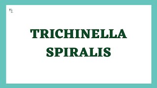 Trichinella spiralis Life Cycle  TrichinellosisTrichinosis  Trichna Worm Infection  Parasitology [upl. by Eldrid]