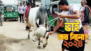 Bhai Koto Nilo Hazratpur Paragram Cattle Market 2024 Qurbani Cow Price In Bangladesh PART 6 [upl. by Gnot]