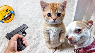 The Funniest Dogs and Cats Videos 2024 To Crack You Up All Long Day 2 [upl. by Naara]