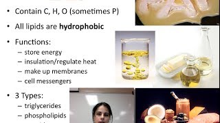 Lipids Unit 1  Video 5B [upl. by Bradski428]