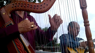 SON JAROCHO EL BALAJU SON VERACRUZANO ARPA JAROCHA REQUINTO JAROCHO JARANA JAROCHA VERACRUZ [upl. by Etnovaj691]