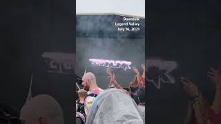 Downlink  Reunion Festival  Live in Thornville OH 2021 [upl. by Yesiad]