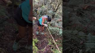 Mt Apo Digos Trail mtapo philippines hiking soloadventure philippinemountain musicnotownedbyme [upl. by Ody]