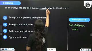 In an embryo sac the cells that degenerate after fertilisation are [upl. by Bergman]