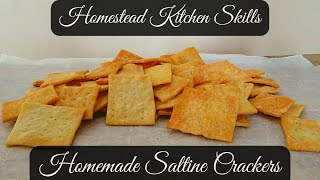 4 Ingredient Homemade Cracker Recipe  Homemade Saltine Crackers Recipe  Homestead Kitchen Skills [upl. by Kasey]