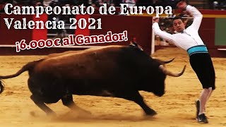 🏆🇪🇺 CAMPEONATO DE EUROPA DE RECORTADORES FRENTE A TOROS DE MIURA ADOLFO MARTÍN 📍 VALENCIA 2021 [upl. by Eigram]