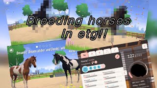 Breeding horses in ETG part 2 [upl. by Margetts681]