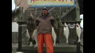 HALIBUT HOMER ALASKA FIRST DAY MIDNIGHT SUN CHARTERS DEEP INTO THE INLET [upl. by Ardnovahs]