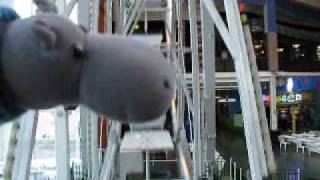 Hippo rides the Ferris Wheel inside Palisades Center [upl. by Rather222]