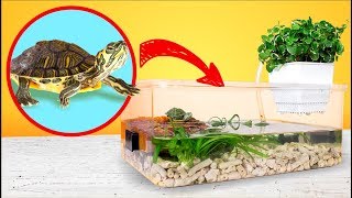 Montage dun TERRARIUM simple et bon marché pour Tortues de Floride [upl. by Robillard]