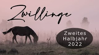 ZWILLINGE ♊ ✖ Du wirst dein Ziel erreichen ✖  Zweites Halbjahr 2022 orakel tarot [upl. by Ellenid]