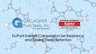 Kalrez® Compression Set Resistance and Sealing Force Retention [upl. by Nareik]