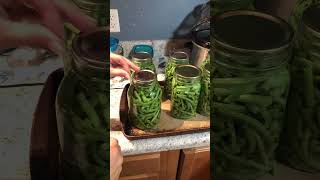 Canning Green Beans [upl. by Merete]