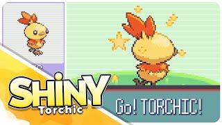 Live Shiny Female Torchic in 4770 SRs in Ruby [upl. by Oatis]