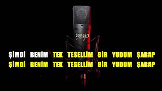 Ferhat Göçer  Silinmeyen Hatıralar  Karaoke  Md Altyapı  Cover  Lyrics  HQ [upl. by Tnattirb777]