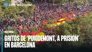 La imagen desde las alturas de la manifestación contra la amnistía en Barcelona [upl. by Yslehc]