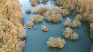 Rixton Clay Pits Fishing Lake [upl. by Annavoj3]