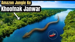 मोस्ट डेंजरस एनिमल्स of Amazon Rainforest  facts About Amazon hindi movies trending viral video [upl. by Lizabeth]