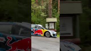 M Sport Puma Rally1 wrc rally speed msport ford racing redbull fyp shorts viralvideo cz [upl. by Ahsiekal]