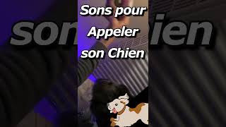 Jouet qui Couine  Bruitage SON JOUET CHIEN SON POUR APPEL CHIEN [upl. by Dnaleel]