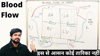 Blood Flow in Heart Blood Flow through Heart  Cardiovascular System in Hindi [upl. by Erma]