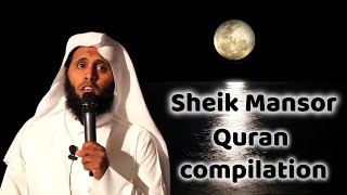 Sheikh Mansour AlSalimi Compilation [upl. by Mian198]