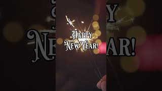 Happy New Year newyear 2024 [upl. by Olodort]