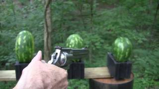 500 Magnum vs Watermelons [upl. by Esinet]