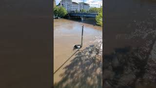 Extremes Hochwasser im Saarland Land unter in Saarbrücken [upl. by Symon]