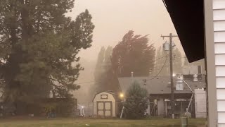 PULLMAN WA 70mph Wind Gusts Hit Pullman WA Causing MASSIVE Dust Storm amp WIDESPREAD TREE DAMAGE [upl. by Jeraldine878]